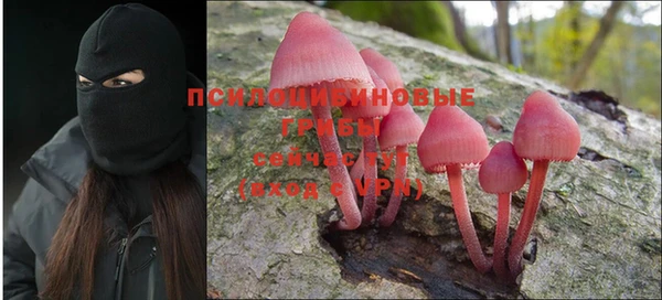 альфа пвп Семикаракорск